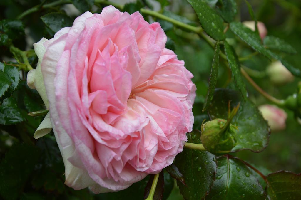 La Touraine Romantique Tours Exterior photo